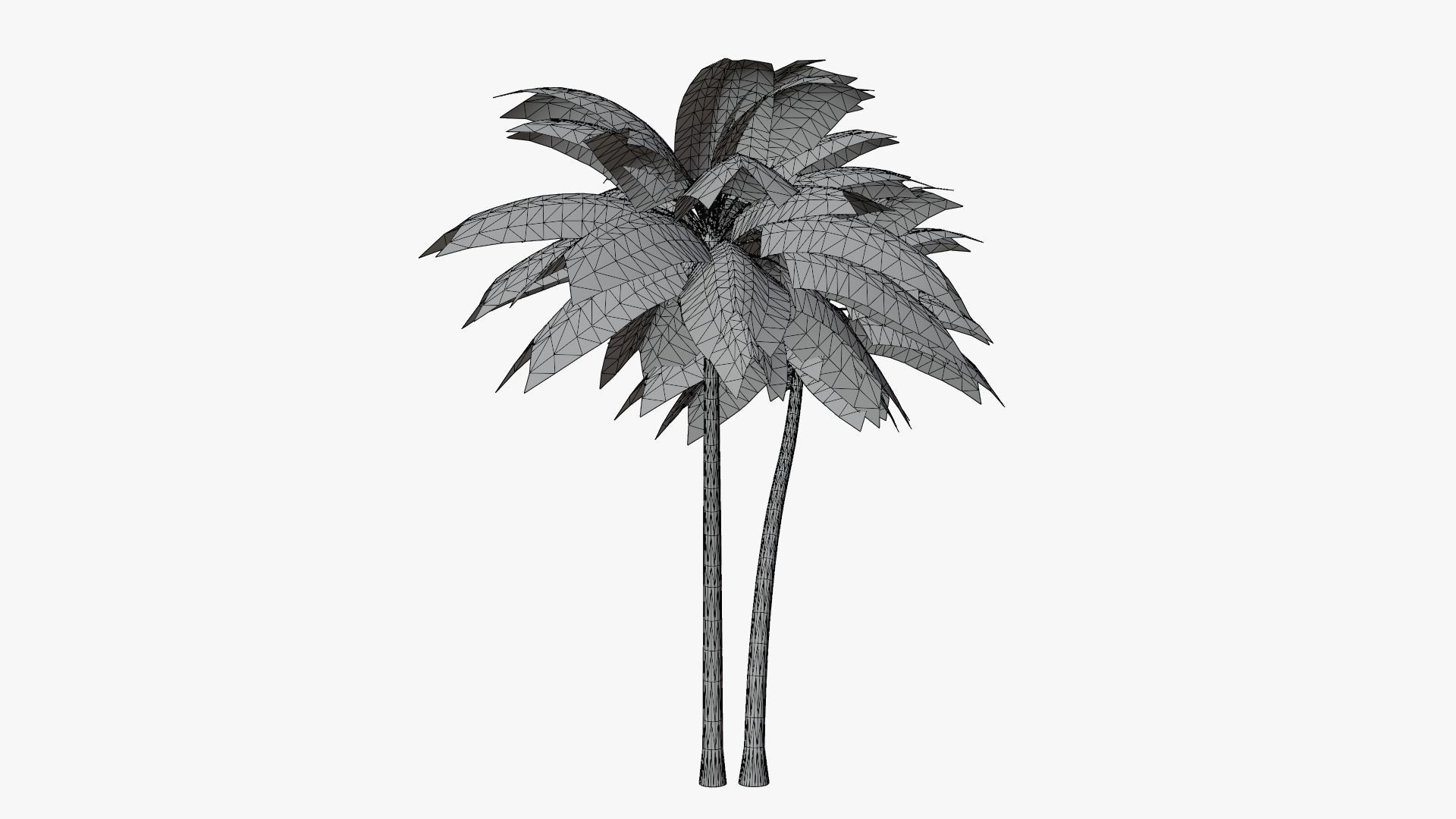 Coconut Palm v5 Low-poly 3D model_5