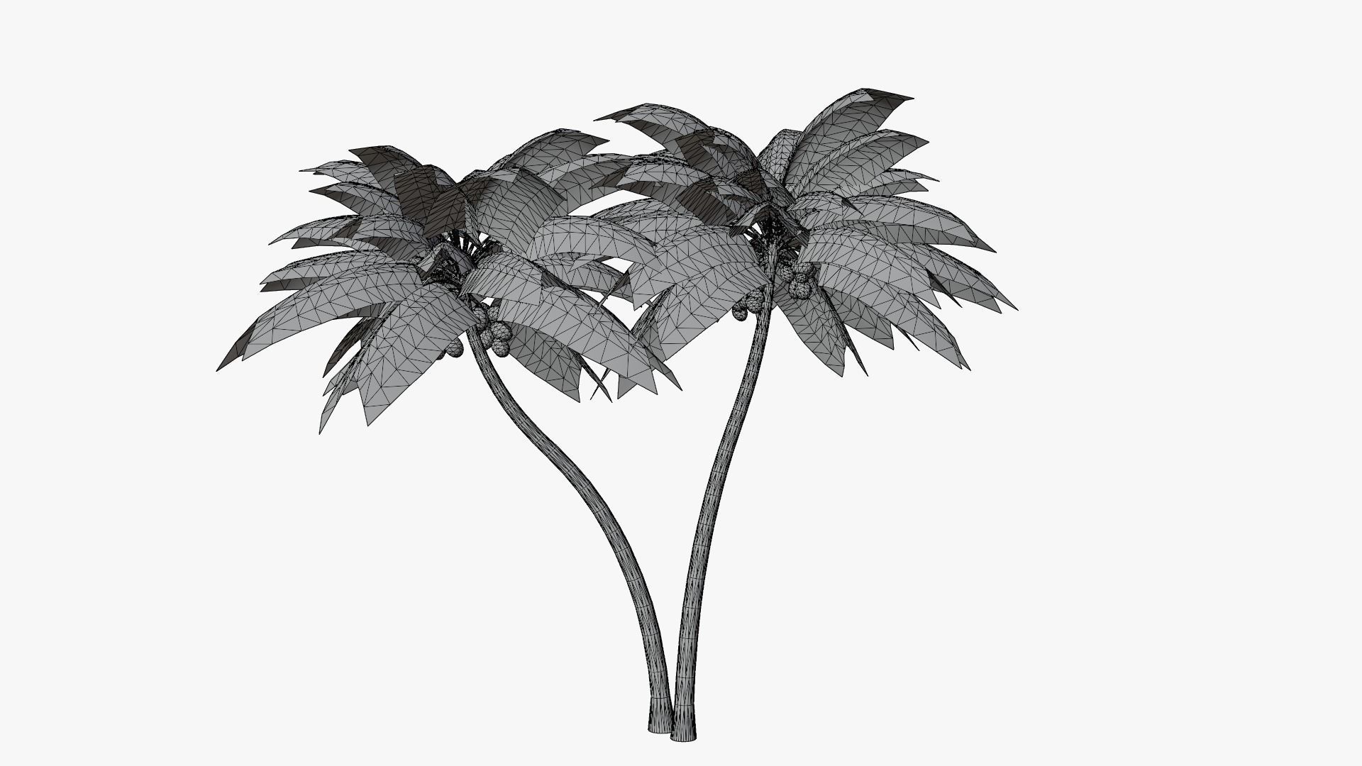 Coconut Palm v5 Low-poly 3D model_11