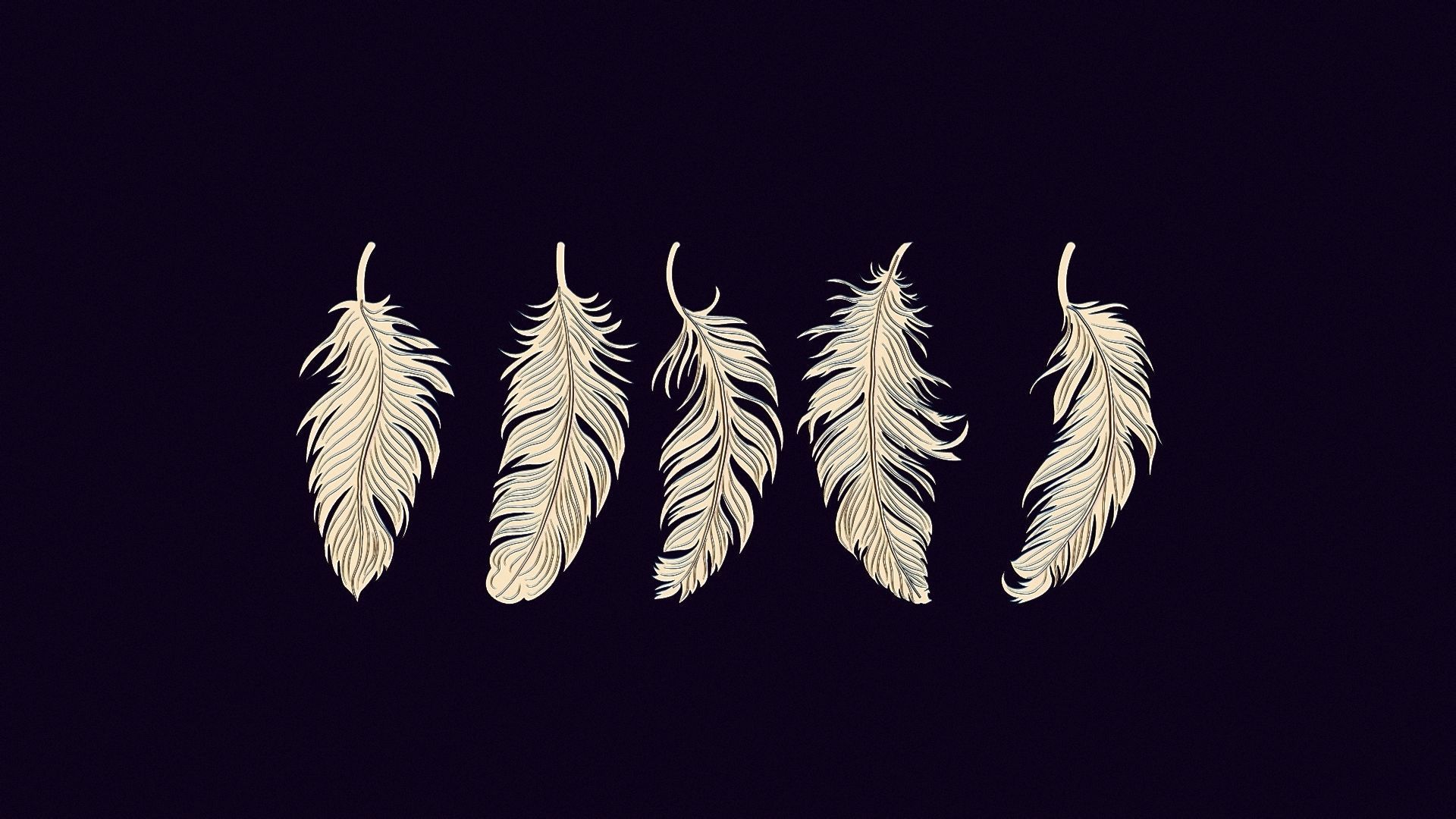 art feathers 3D print model_1