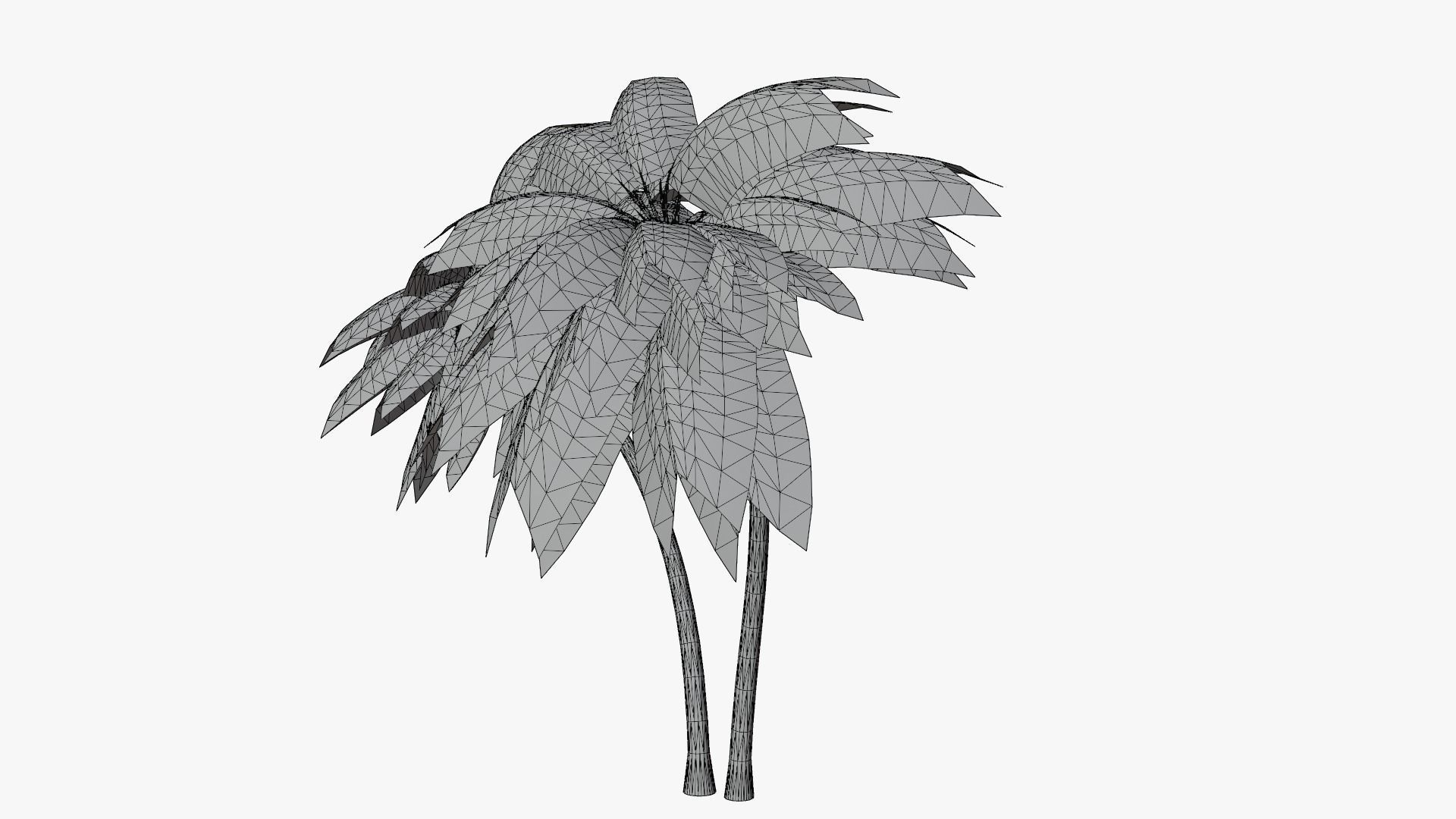 Coconut Palm v6 Low-poly 3D model_8