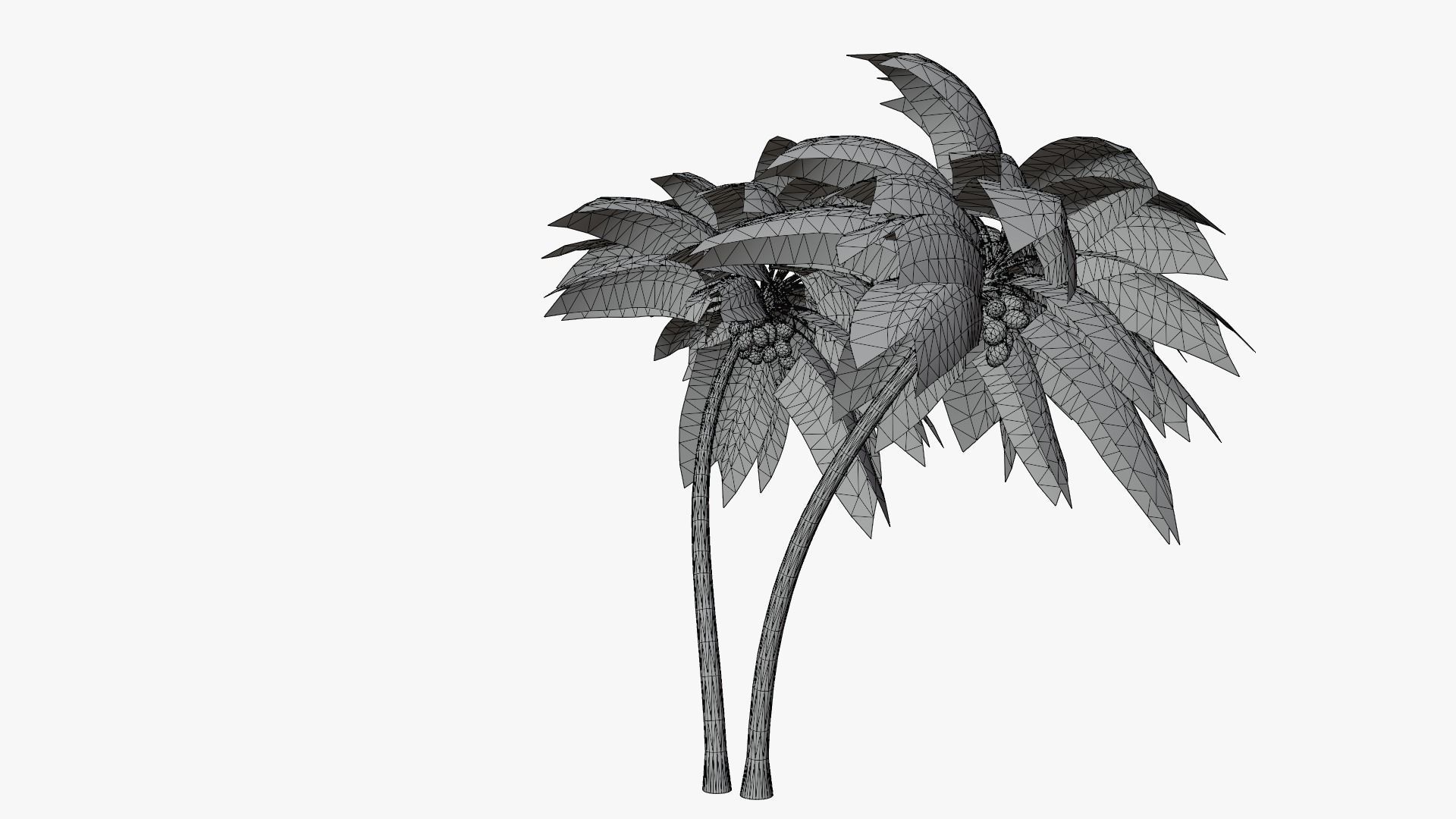 Coconut Palm v6 Low-poly 3D model_17