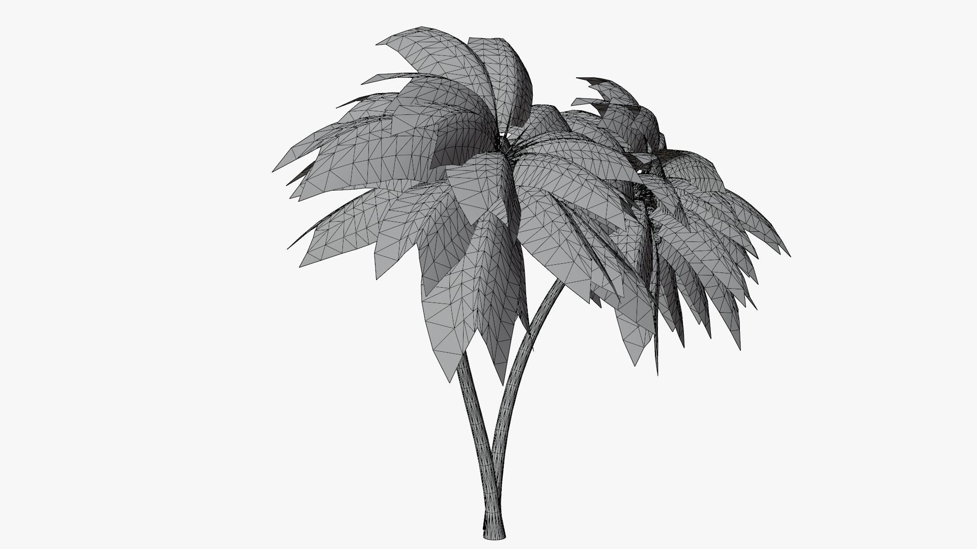 Coconut Palm v6 Low-poly 3D model_14