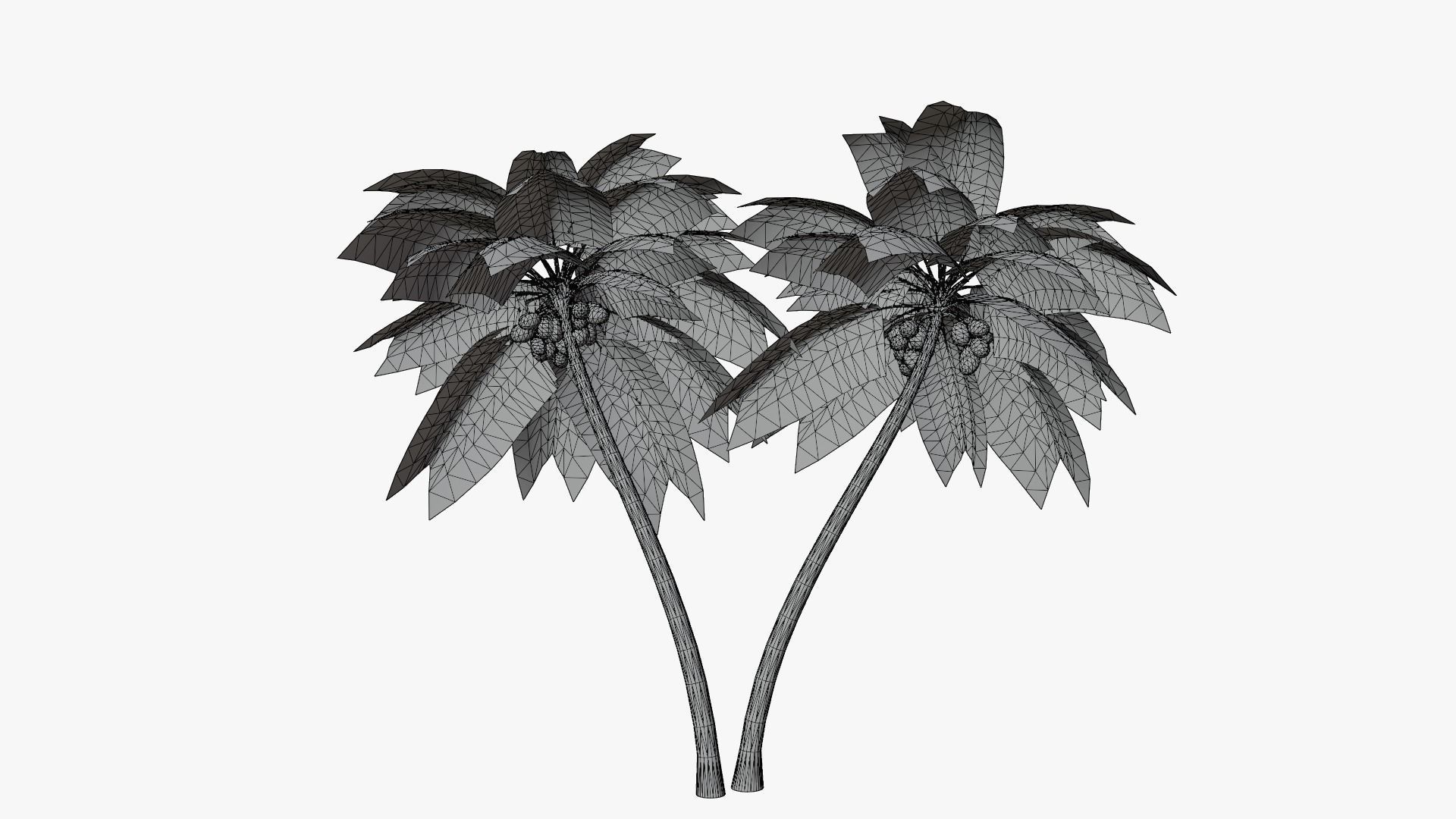 Coconut Palm v6 Low-poly 3D model_2