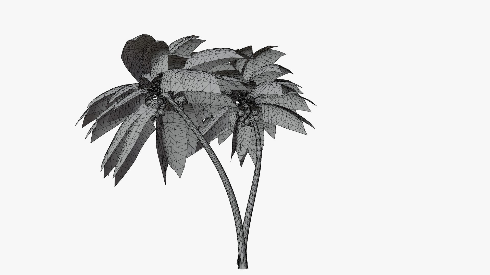 Coconut Palm v6 Low-poly 3D model_5