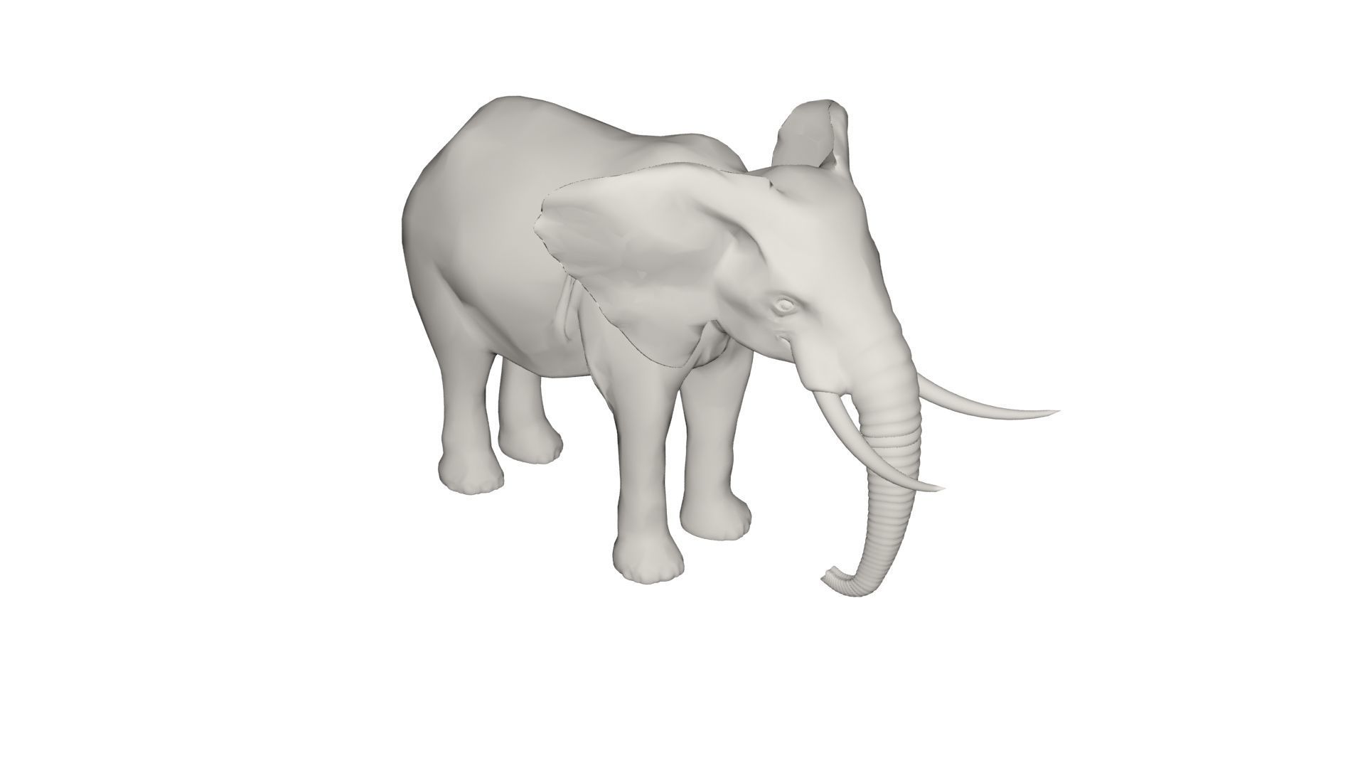 Elephant  3D model_2