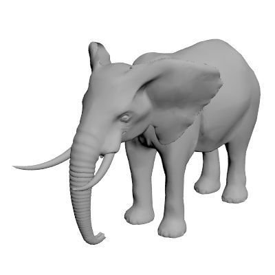 Elephant  3D model_8