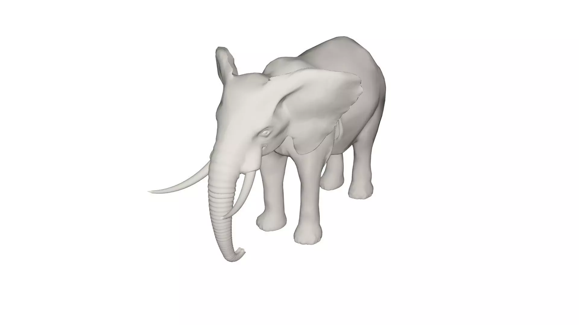 Elephant  3D model_0