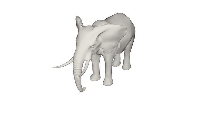 Elephant  3D model