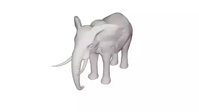 Elephant  3D model