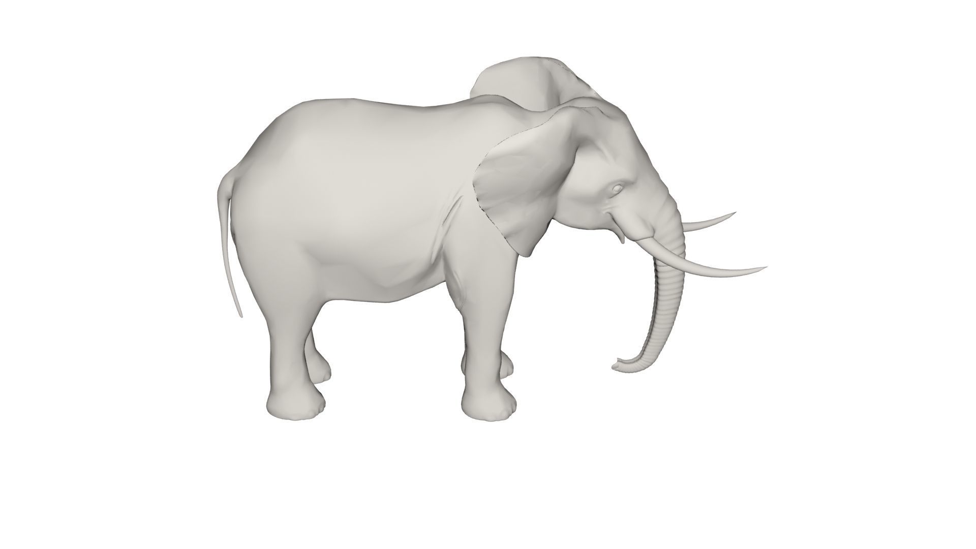 Elephant  3D model_3