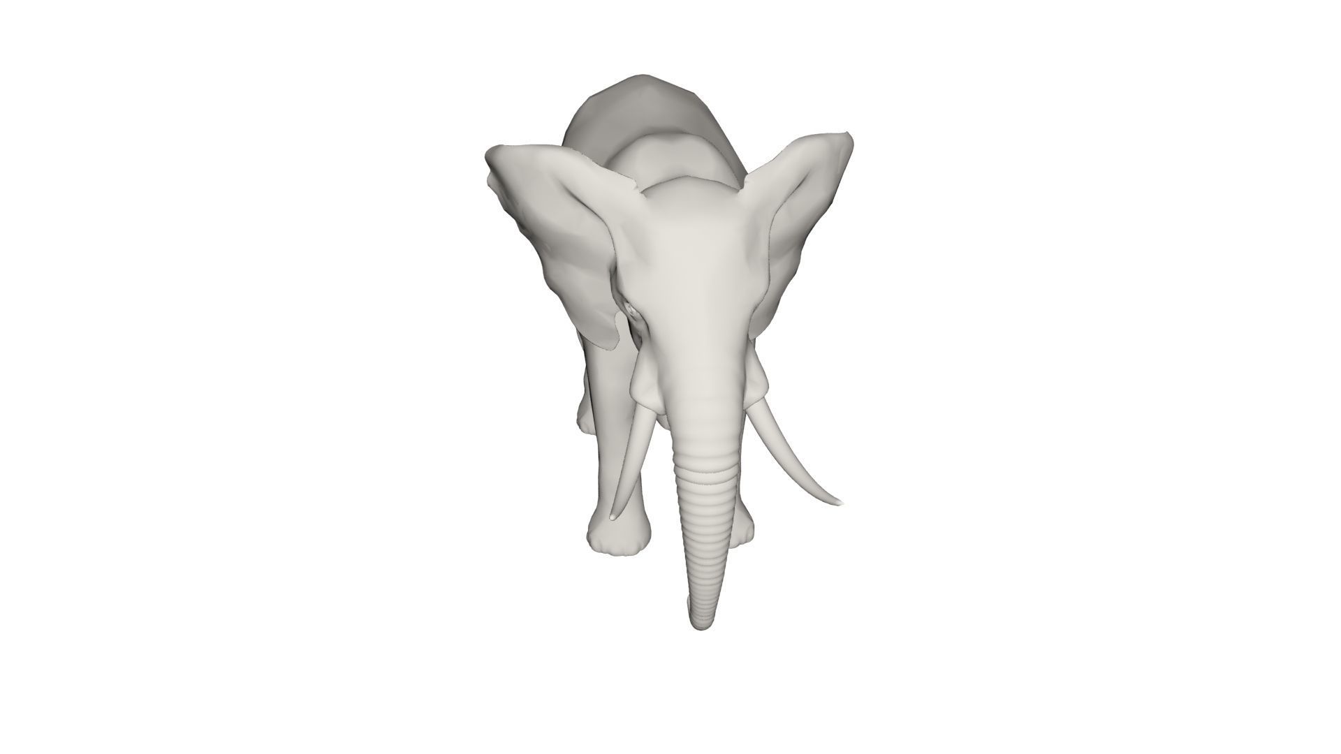 Elephant  3D model_1
