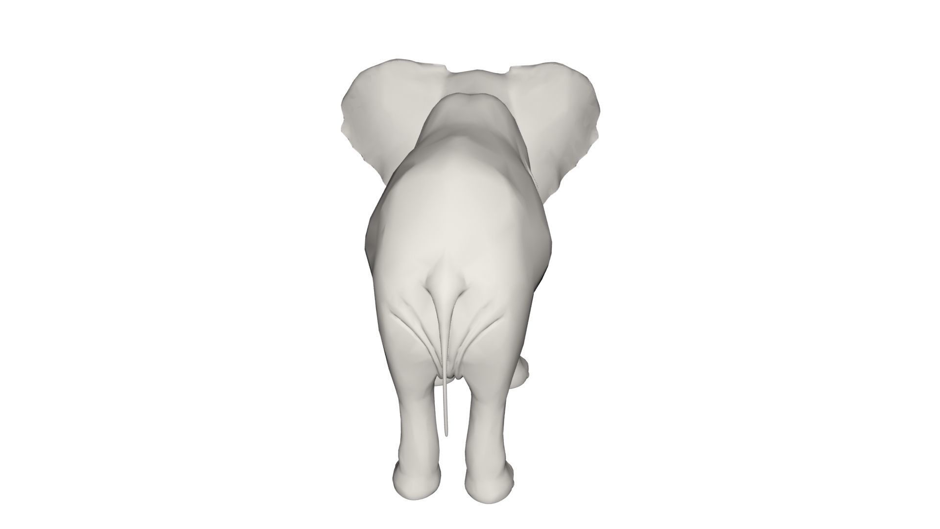 Elephant  3D model_5