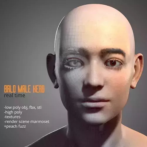 Real Time Male Head 3D Model