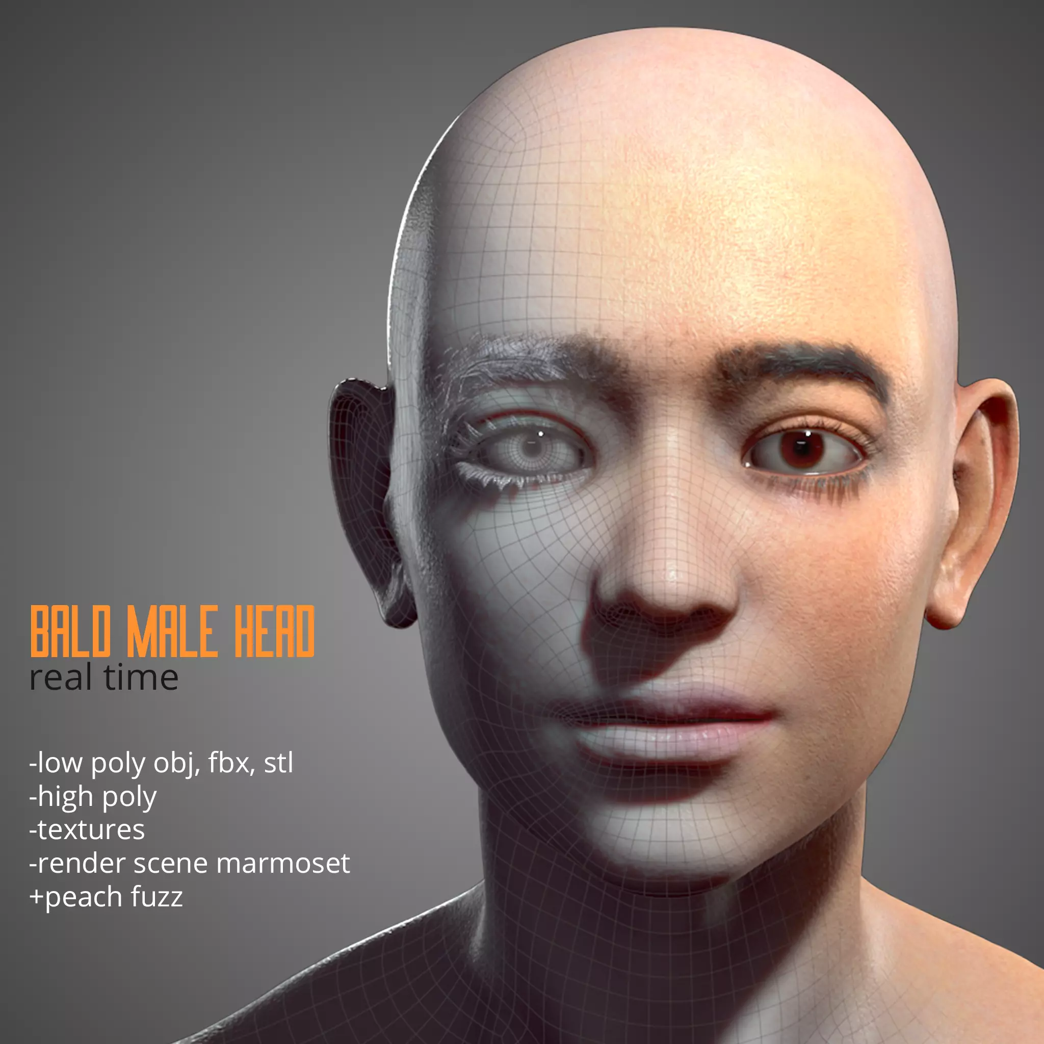 Real Time Male Head 3D Model Low-poly 3D model