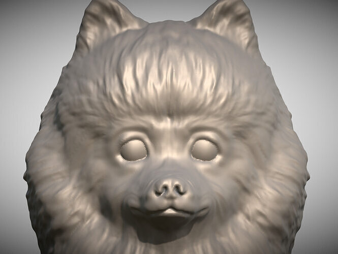 Pomeranian dog head for 3D printing 3D print model