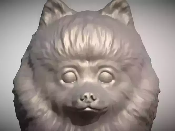 Pomeranian dog head for 3D printing 3D print model