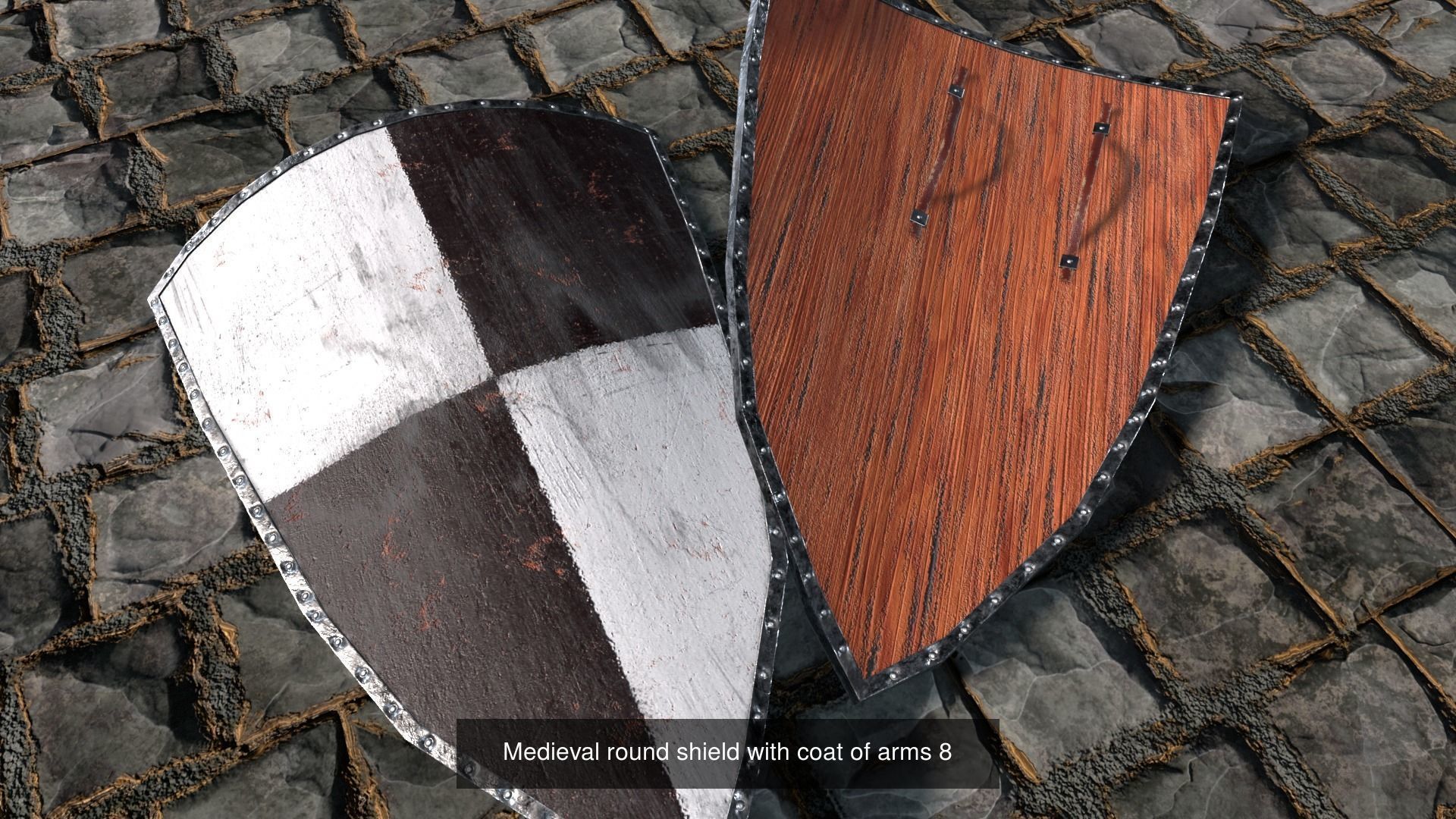 Medieval round shield with coat of arms  3D Model Collection_3