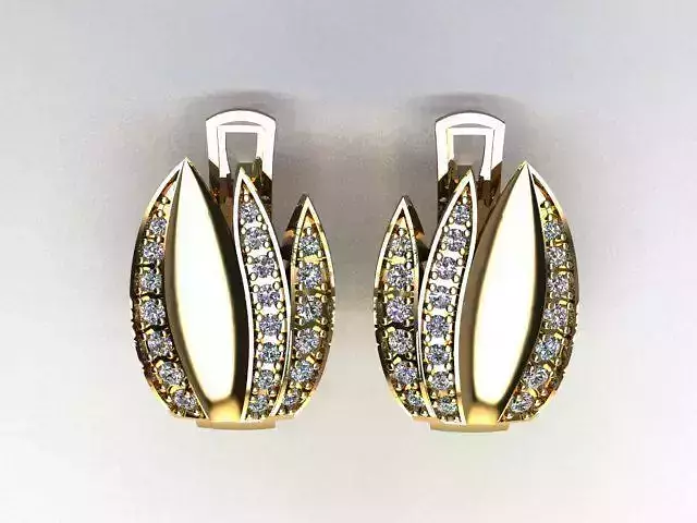 clasp earrings