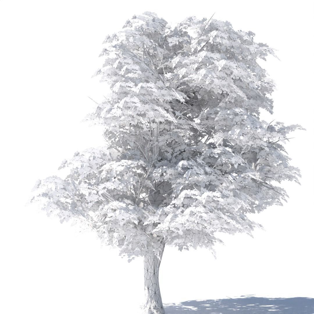 Tree 3d model Low-poly 3D model_8