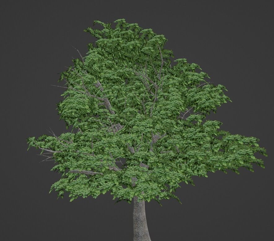 Tree 3d model Low-poly 3D model_11