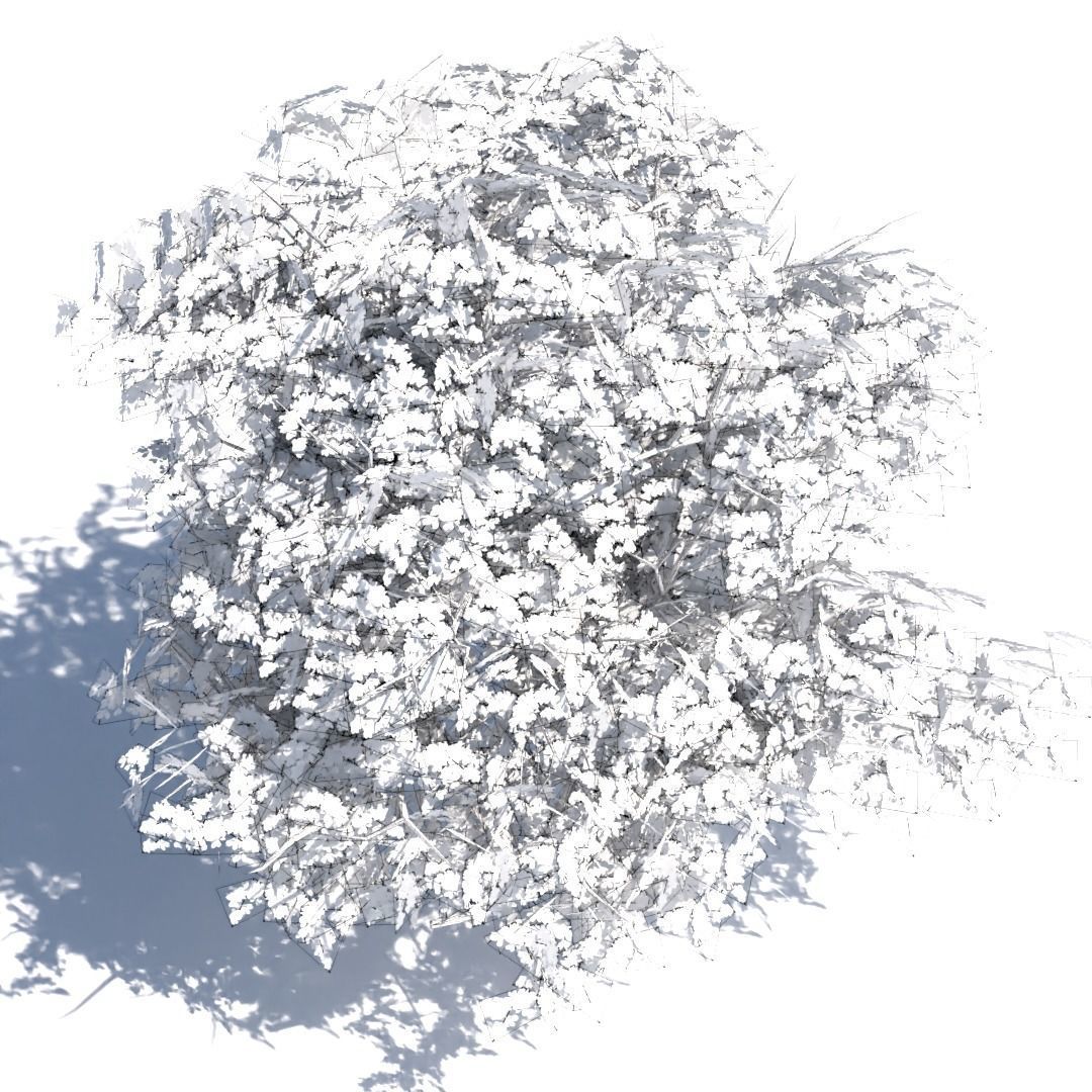 Tree 3d model Low-poly 3D model_7