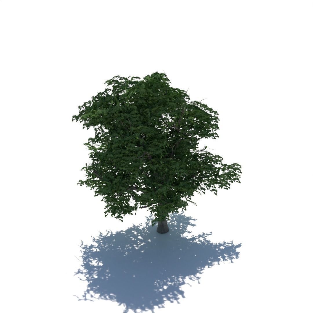 Tree 3d model Low-poly 3D model_2
