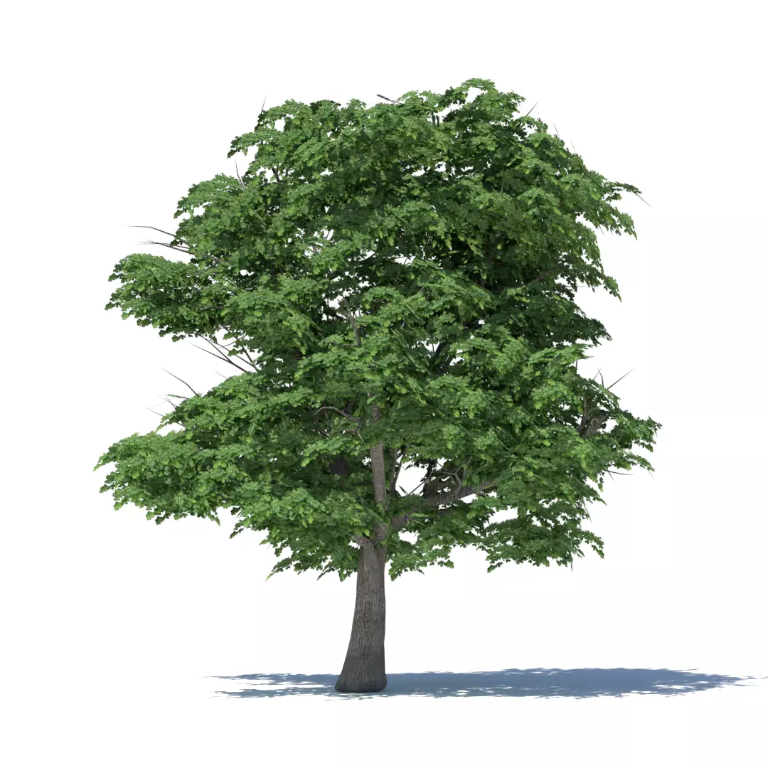 Tree 3d model Low-poly 3D model_0