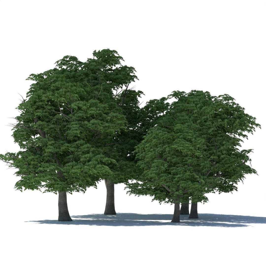 Tree 3d model Low-poly 3D model_3
