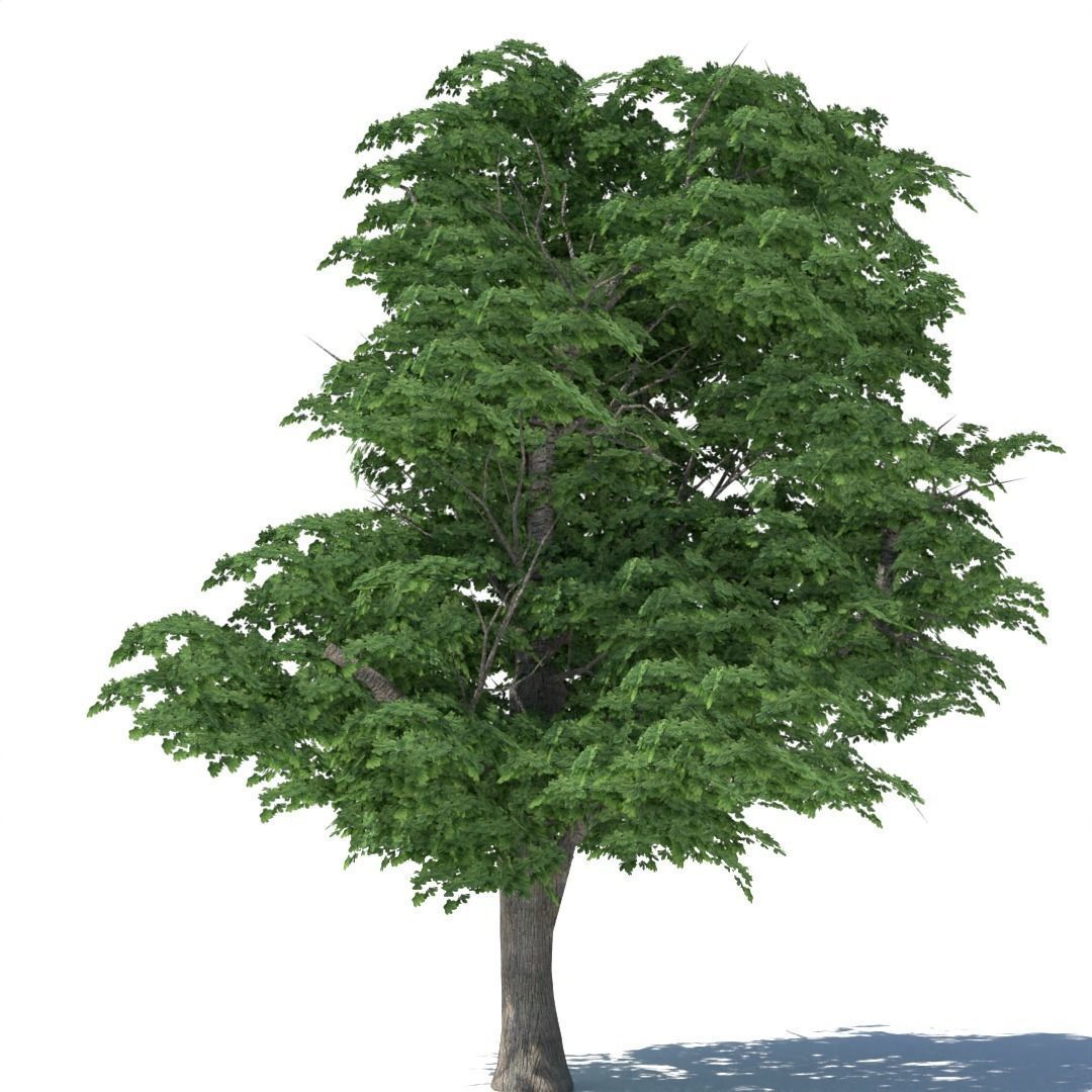 Tree 3d model Low-poly 3D model_6