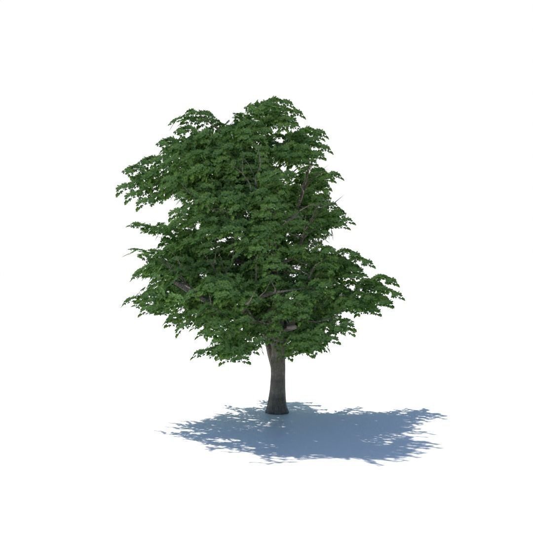 Tree 3d model Low-poly 3D model_4