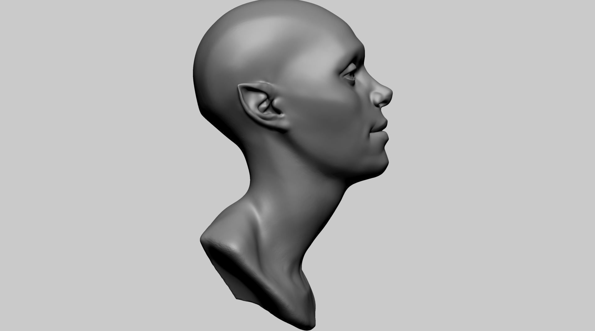 Base Female Head E 3D model_2
