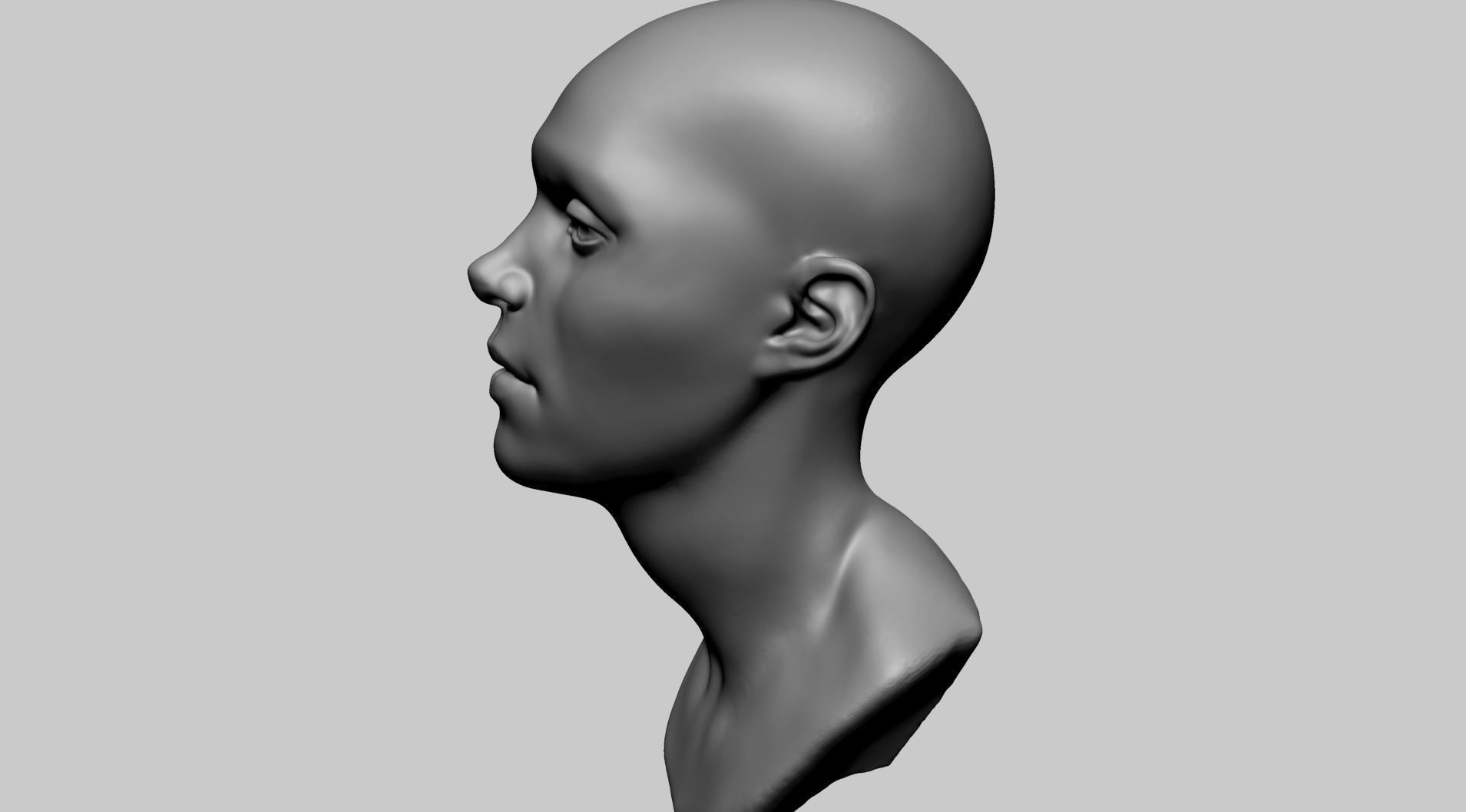 Base Female Head E 3D model_17