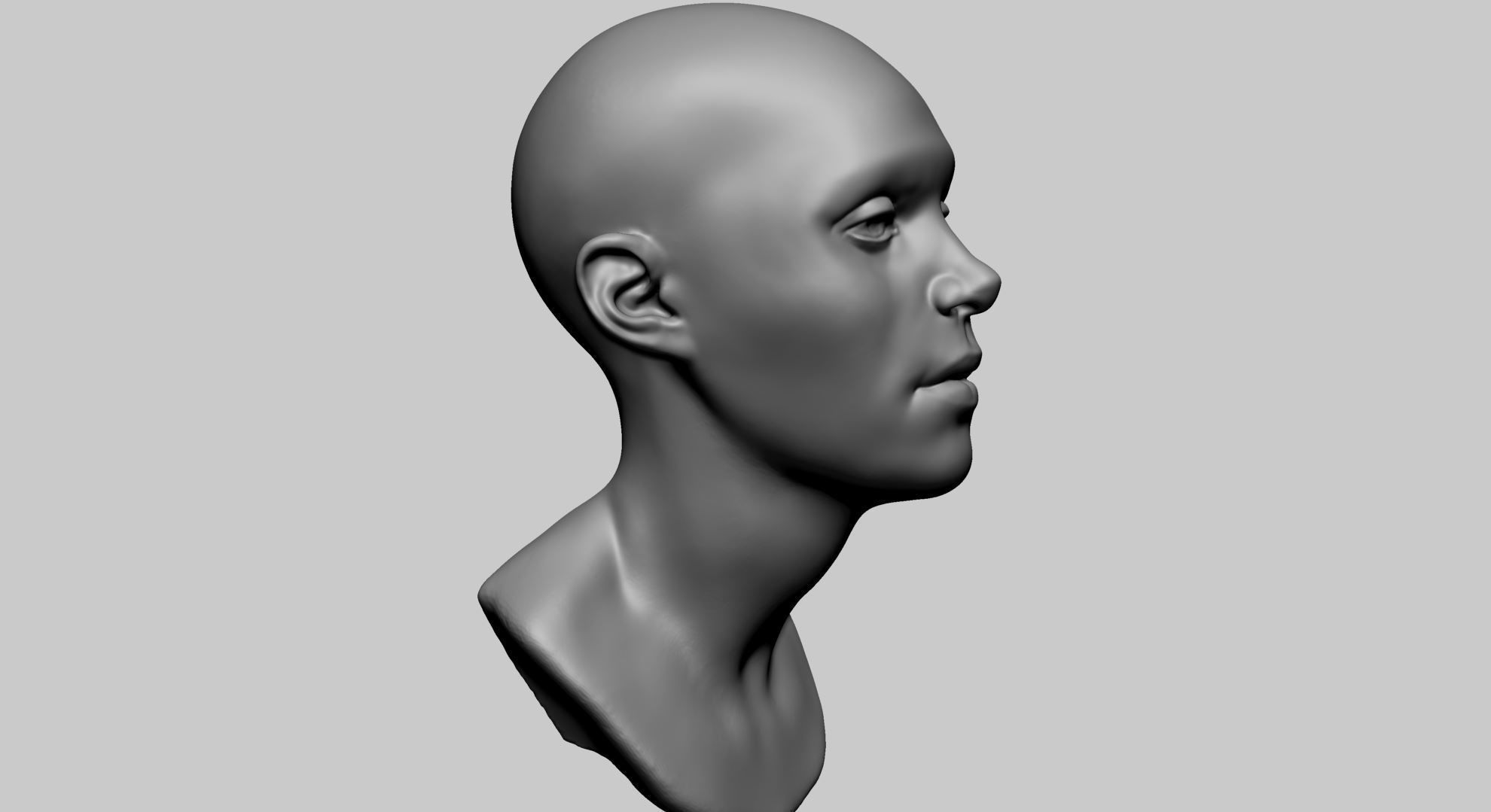 Base Female Head E 3D model_14