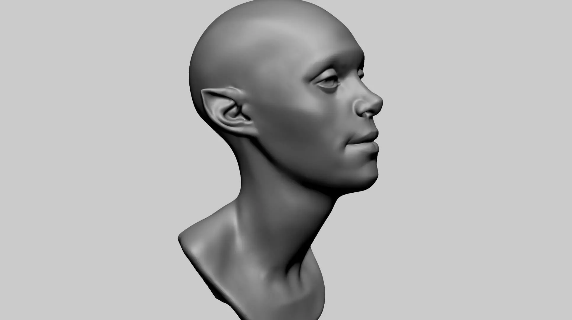 Base Female Head E 3D model_0