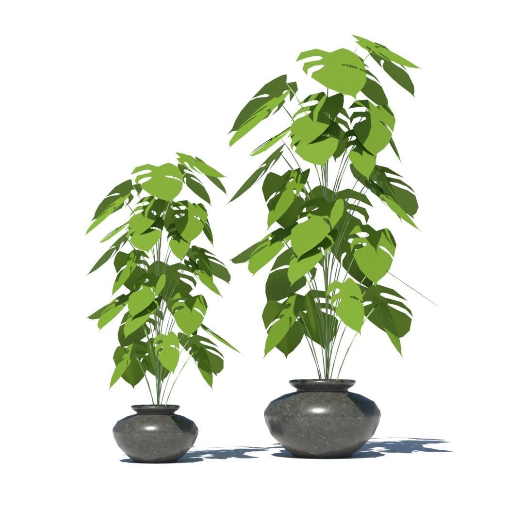 artificial plant and pot Low-poly 3D model_5