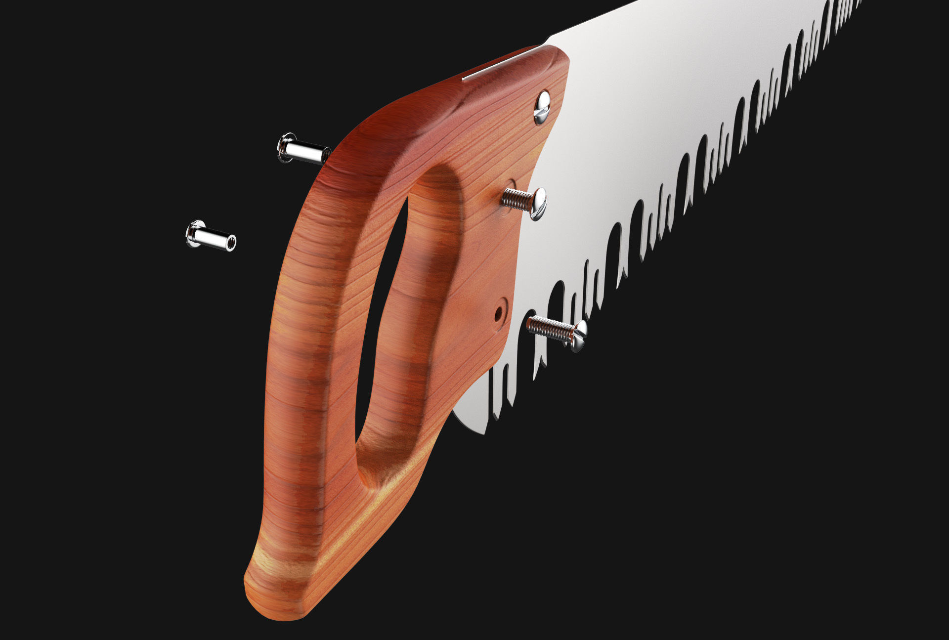 Tuttle teeth saw 3D model_2