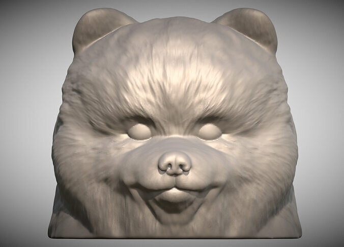 Puppy of Pomeranian dog head for 3D printing 3D print model