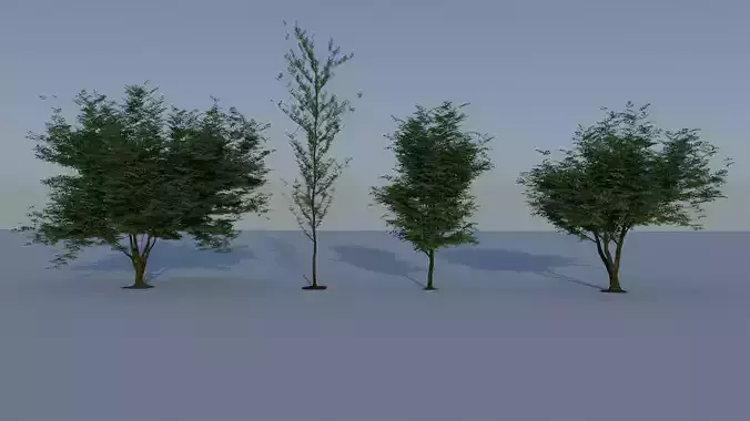 Realistic Tree 3D model