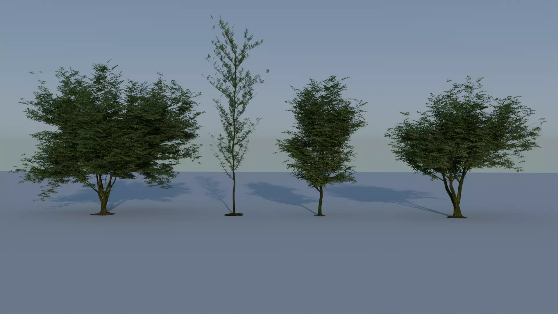 Realistic Tree 3D model_0