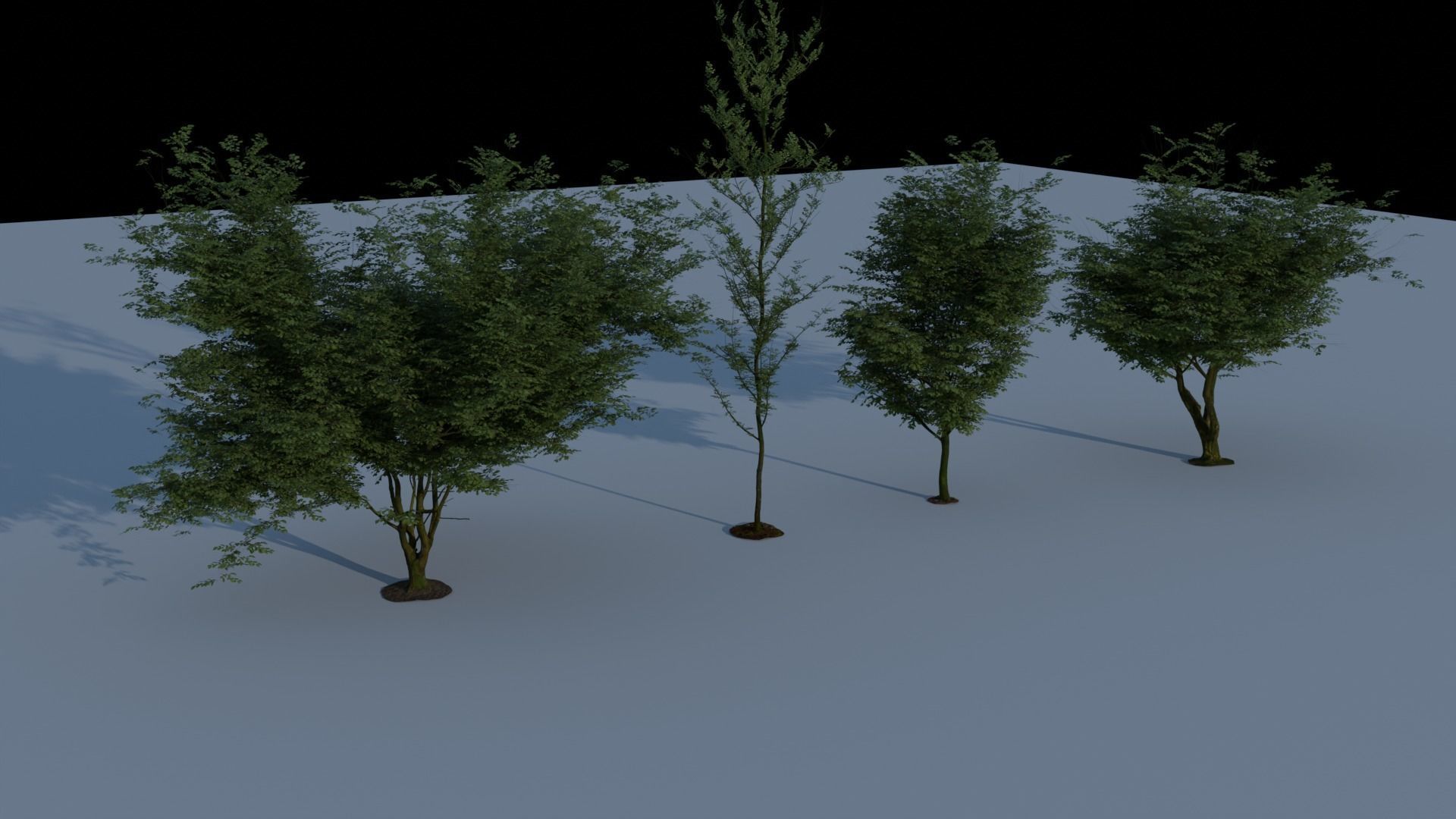 Realistic Tree 3D model_1