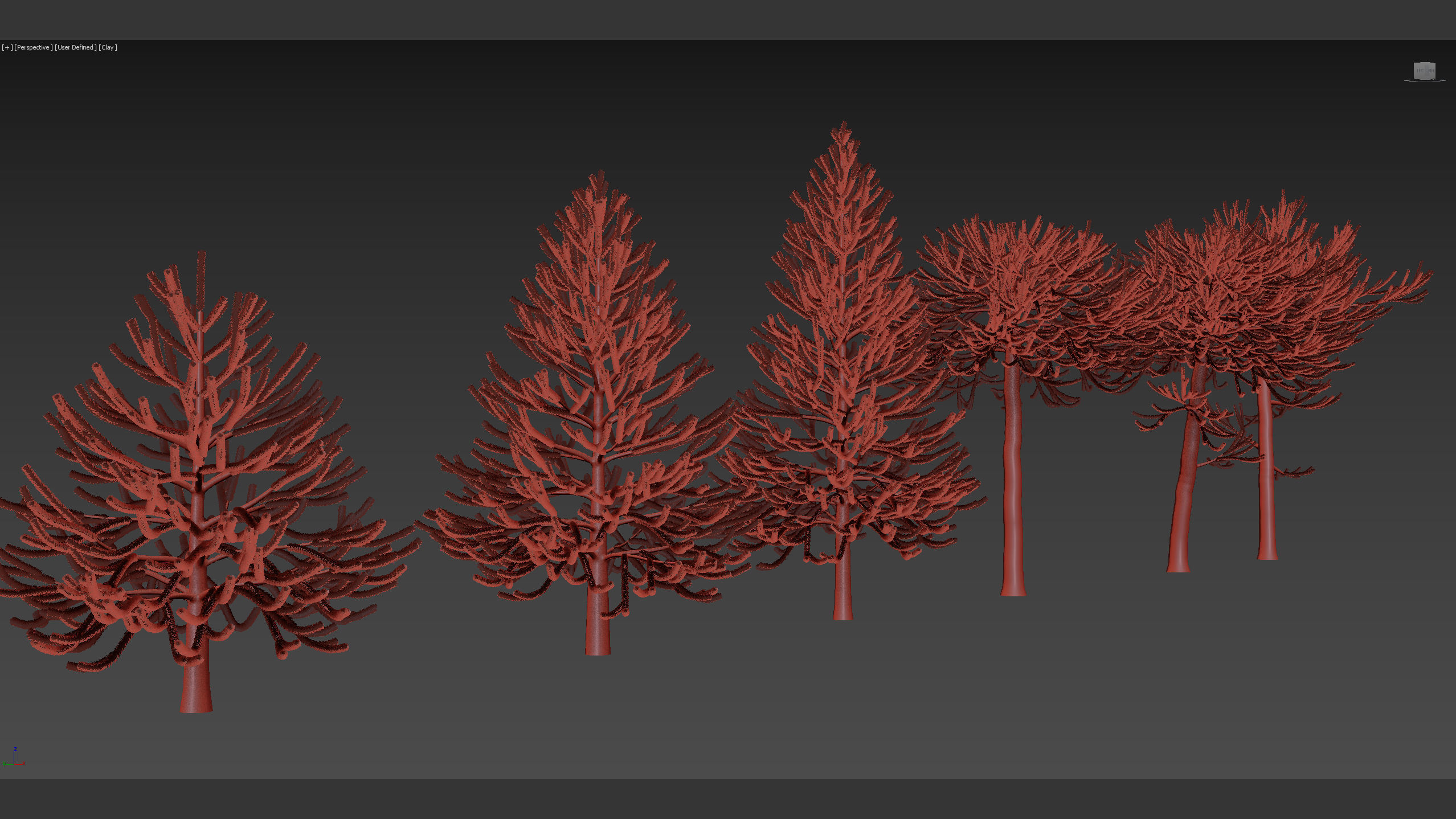 Araucaria araucana Monkey Puzzle Tree 3D model_9