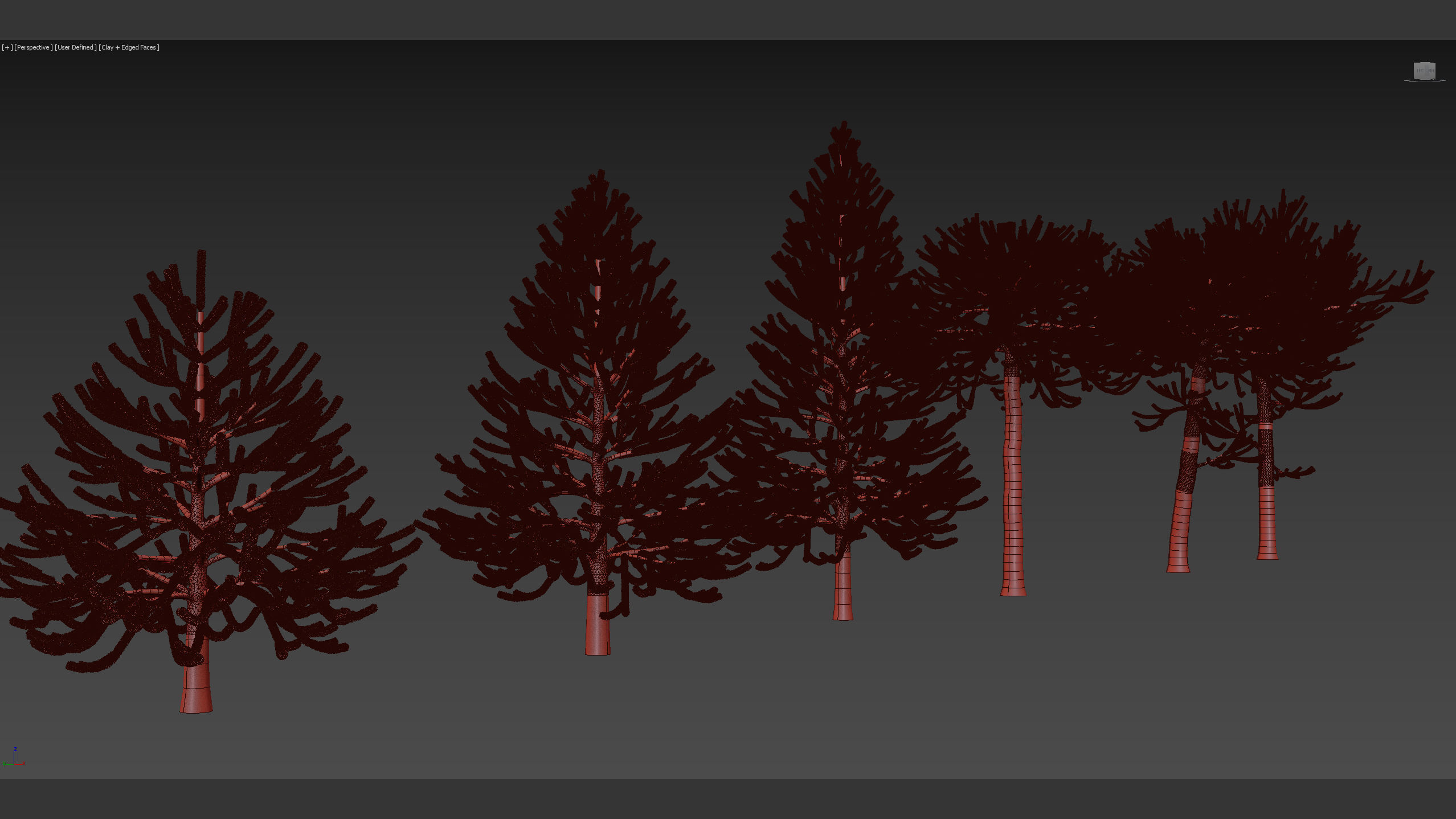 Araucaria araucana Monkey Puzzle Tree 3D model_10