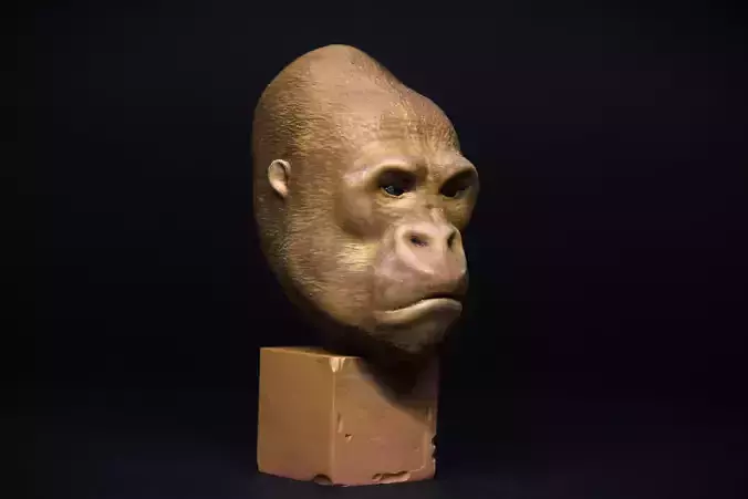  gorilla 3D print model 