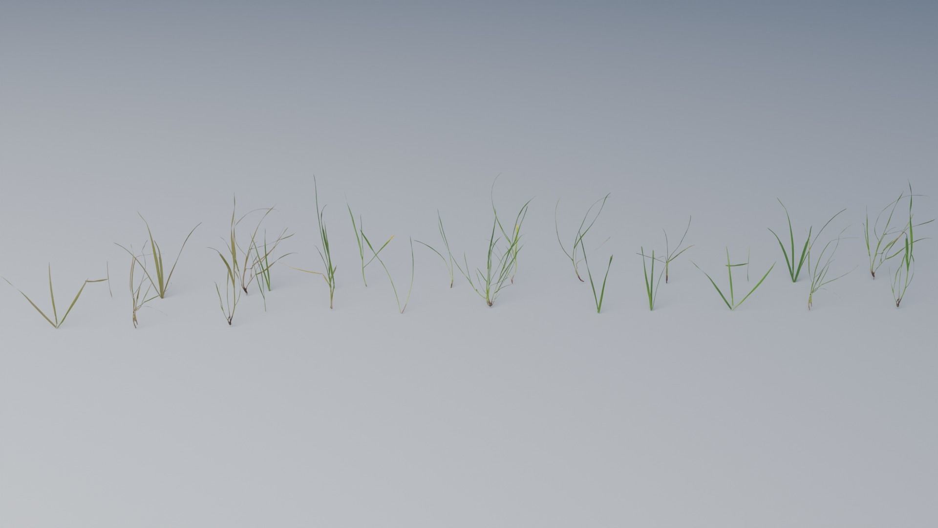 Photorealistic Grass 3D model_5