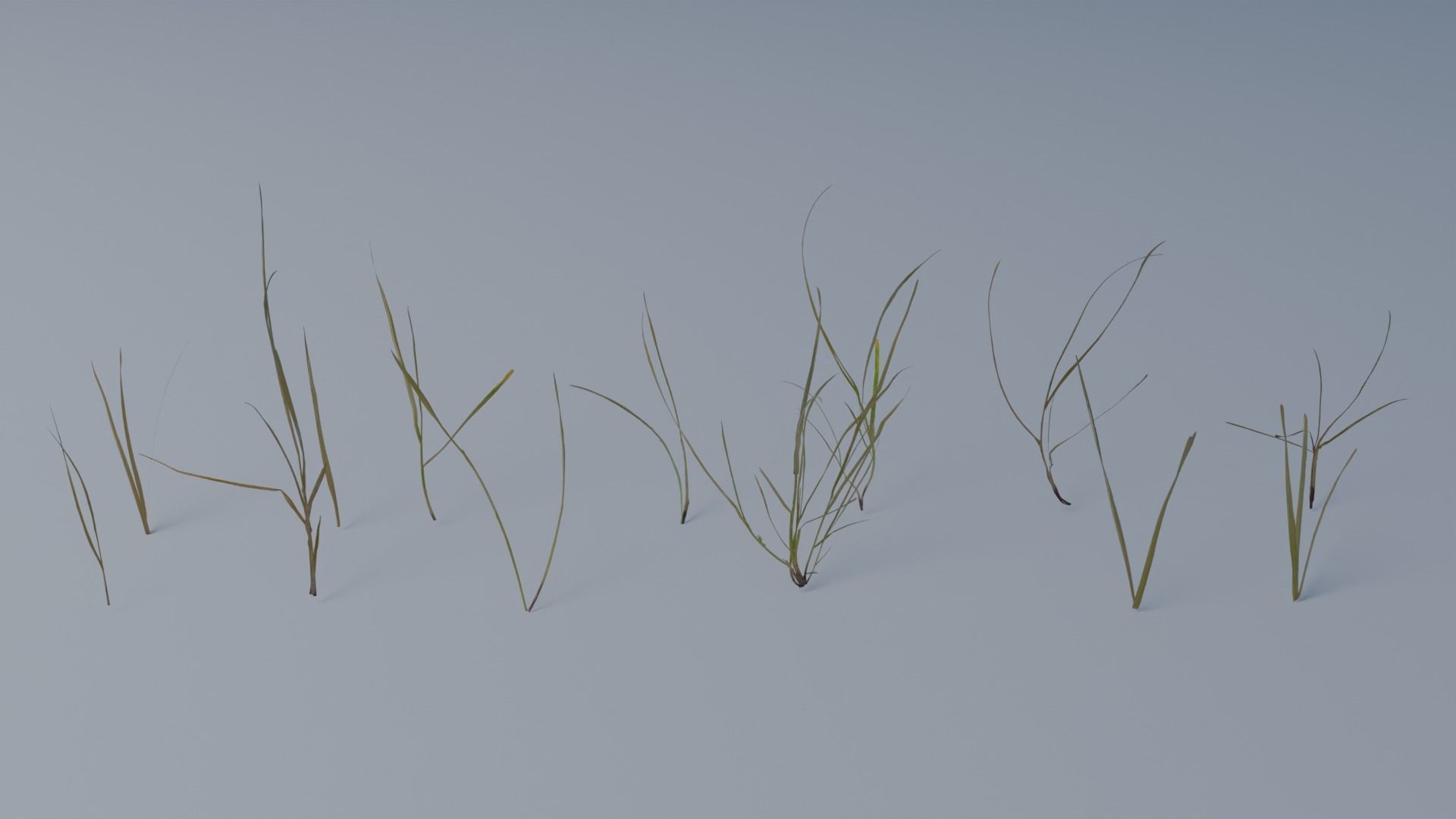 Photorealistic Grass 3D model_4