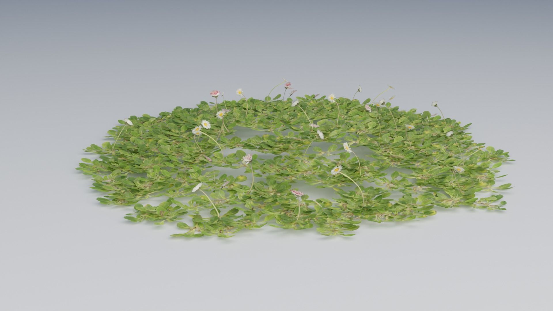 Photorealistic Grass 3D model_2