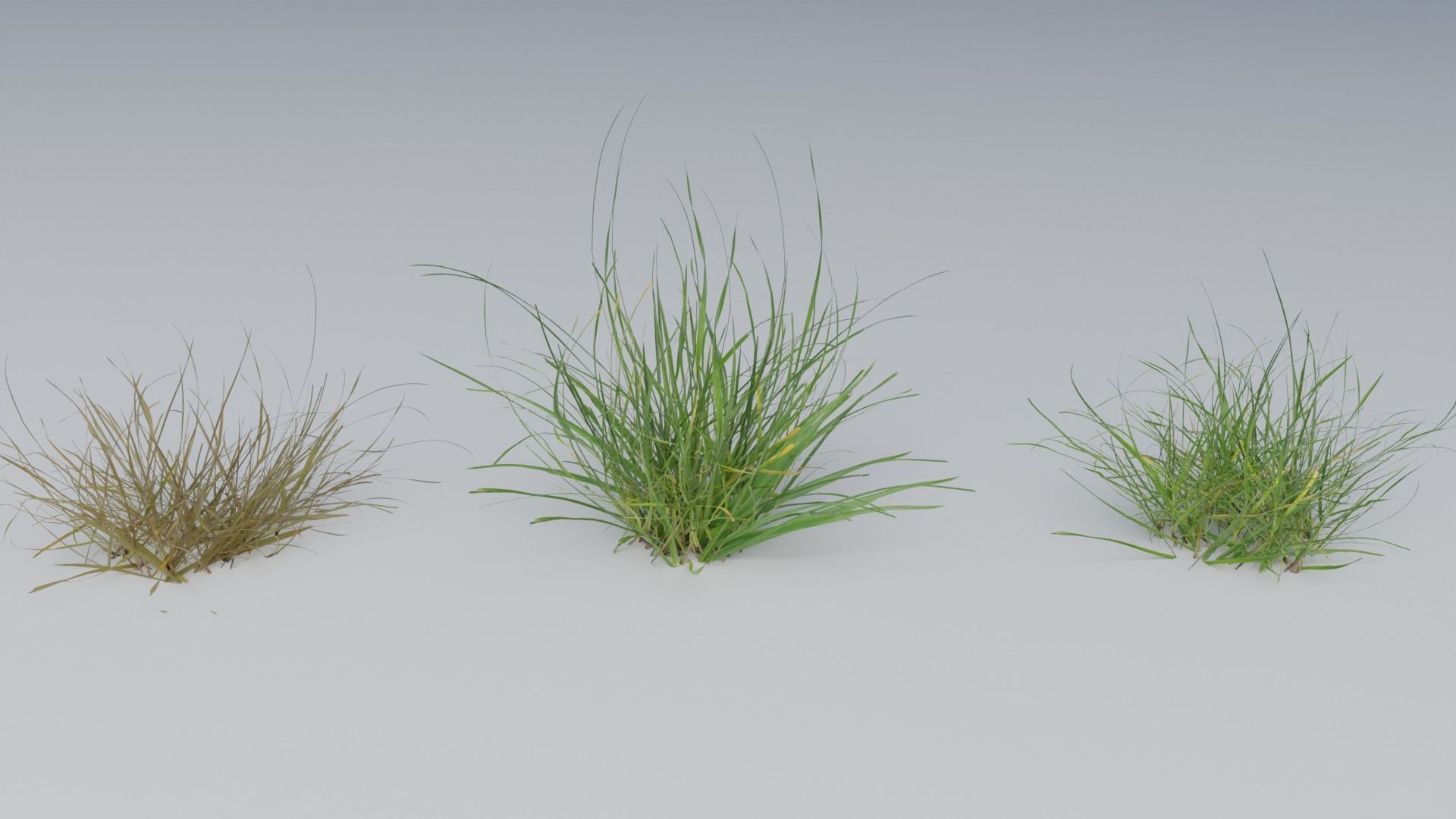 Photorealistic Grass 3D model_3