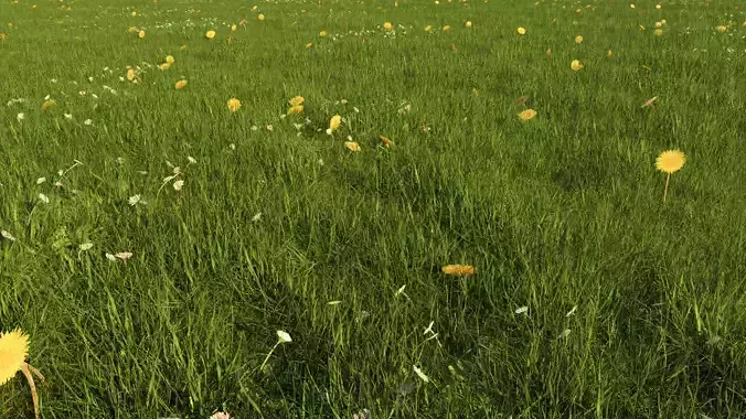 Photorealistic Grass 3D model