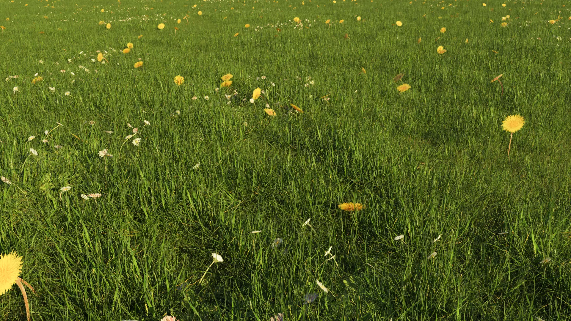 Photorealistic Grass 3D model_0