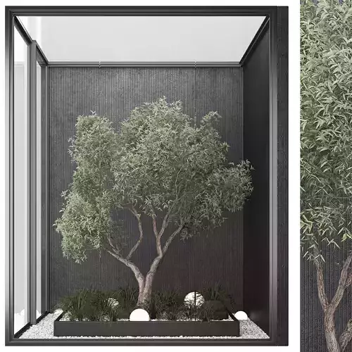 INDOOR PLANT SET 0- tree and bush